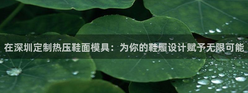 易倍申安理申区别