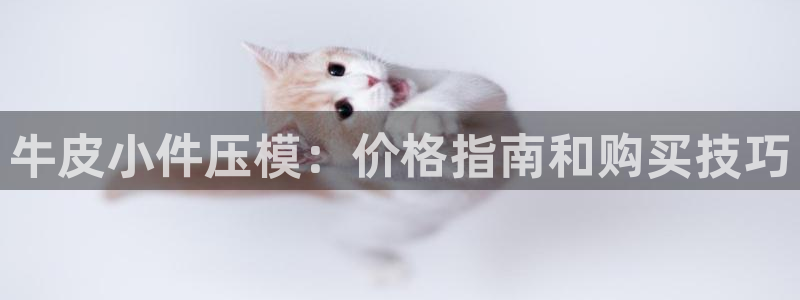 易倍易倍单词官方网站