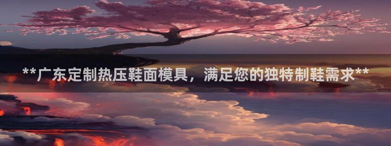 emc全站ag：**广东定制热压鞋面模具，满足您的独特制