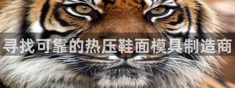 易倍申片的副作用：寻找可靠的热压鞋面模具制造商