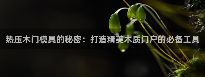 emc备份软件