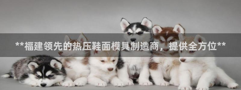 易倍纤减肥价格：**福建领先的热压鞋面模具制造商，提供全
