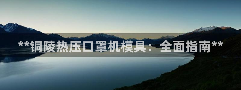 四川易倍易企业管理有限公司：**铜陵热压口罩机模具：全面