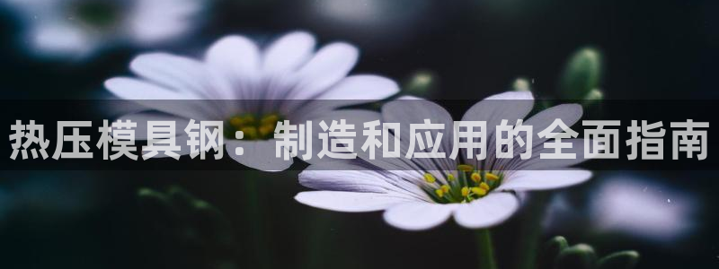 易倍网络技术有限公司：热压模具钢：制造和应用的全面指南