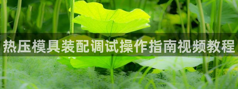 emc易倍官方下载