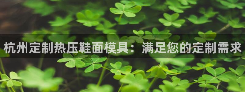emc易倍平台