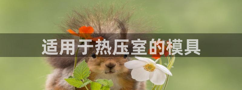 易倍电竞,有球必应