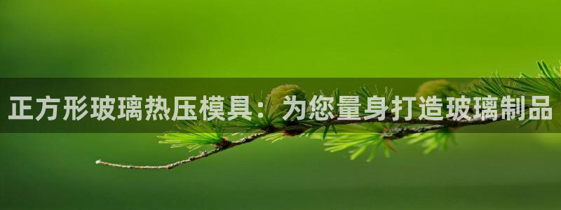 易倍单词app官网