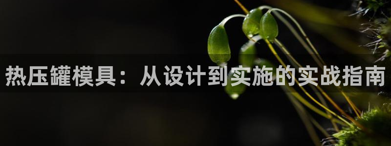 emc易倍穆里尼奥：热压罐模具：从设计到实施的实战指南