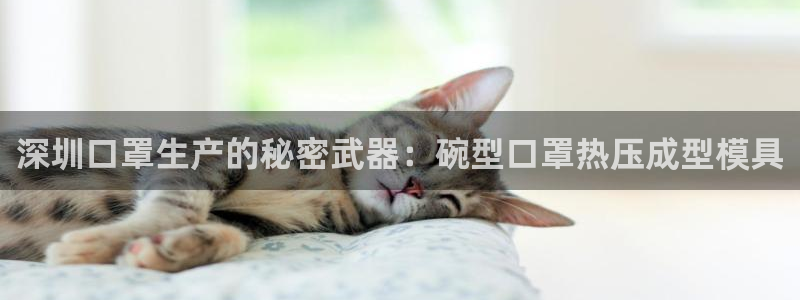 易倍下载地址