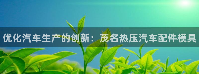 易倍纤价格：优化汽车生产的创新：茂名热压汽车配件模具