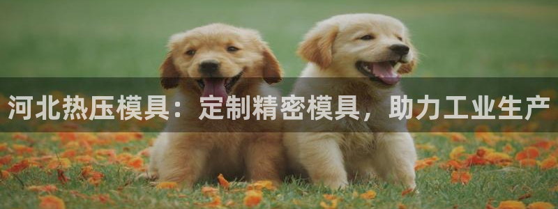 杭州易倍达科技有限公司怎么样：河北热压模具：定制精密模具