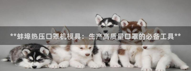 易倍下载手机版：**蚌埠热压口罩机模具：生产高质量口罩的