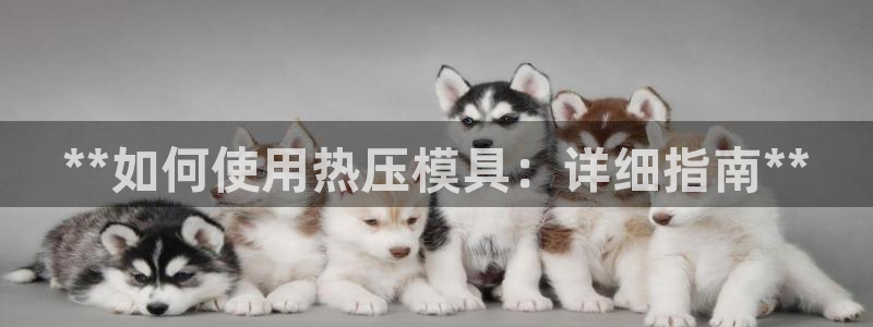 emc全站网页版