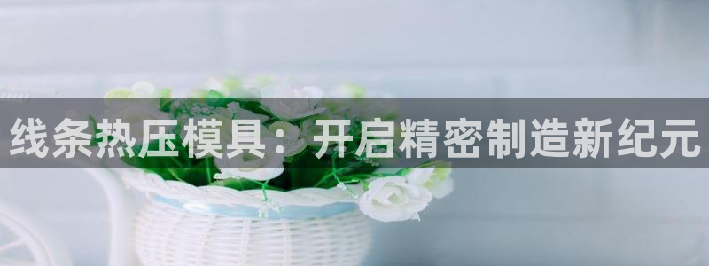 易倍申安理申区别：线条热压模具：开启精密制造新纪元