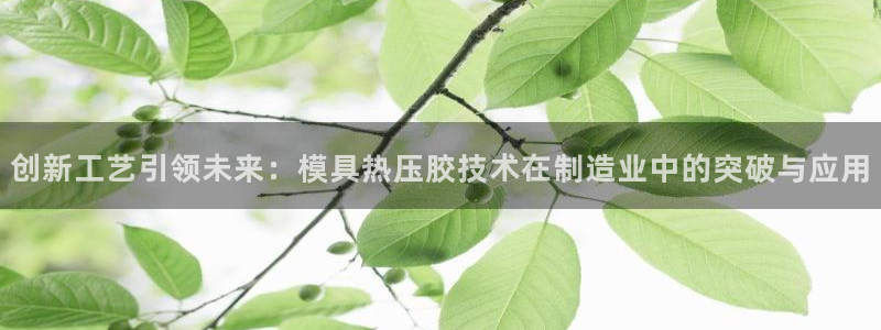 易倍单词官方网站下载：创新工艺引领未来：模具热压胶技术在
