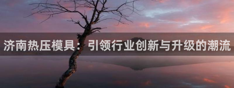杭州易倍达科技有限公司怎么样：济南热压模具：引领行业创新