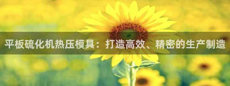 EMC易倍：平板硫化机热压模具：打造高效、精密的生产制造