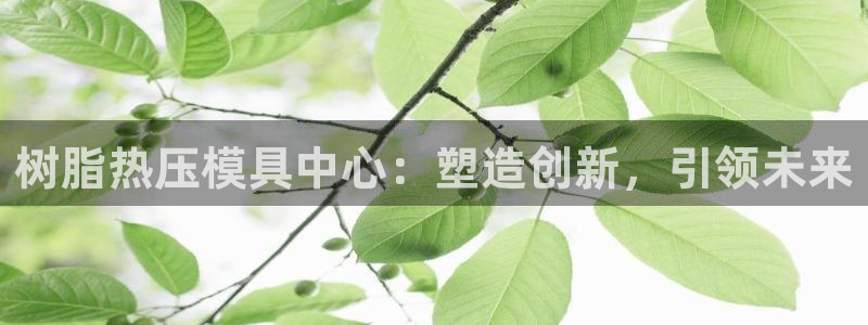 emc易倍最新链接：树脂热压模具中心：塑造创新，引领未来