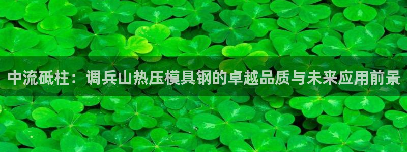 易倍达科技有限公司招聘：中流砥柱：调兵山热压模具钢的卓越
