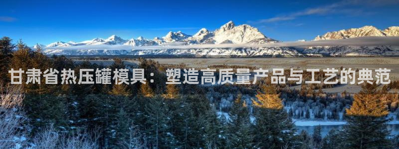 emc易倍网站是多少：甘肃省热压罐模具：塑造高质量产品与