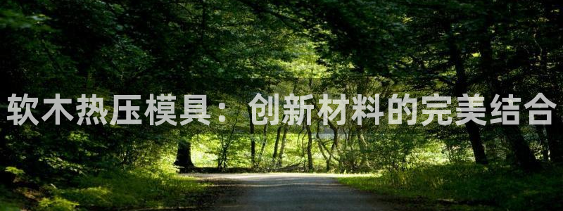 易倍纤瘦身三部曲的价格：软木热压模具：创新材料的完美结合