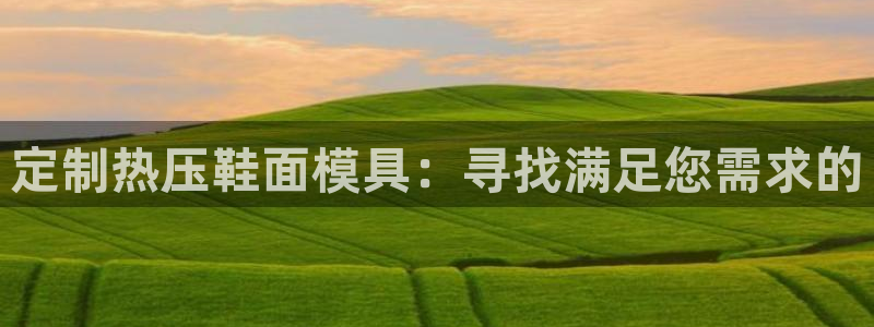 易倍单词官方网站下载：定制热压鞋面模具：寻找满足您需求的