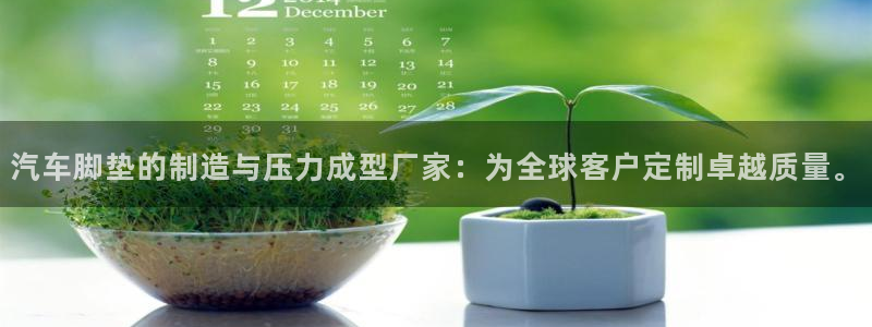 emc下载：汽车脚垫的制造与压力成型厂家：为全球客户定制