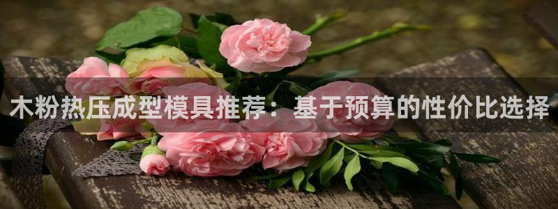 emc易倍网页版：木粉热压成型模具推荐：基于预算的性价比