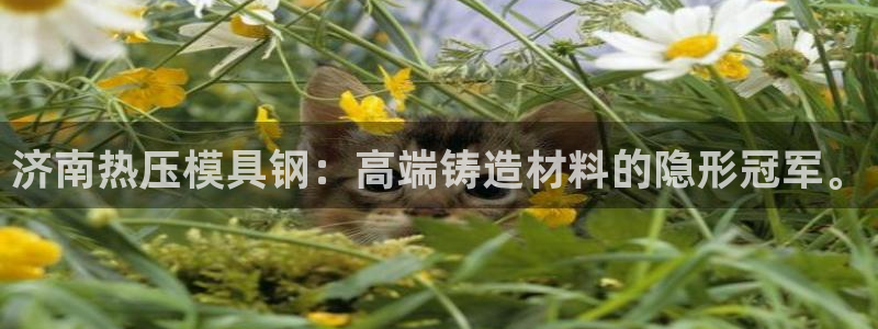 易倍申价格是多少：济南热压模具钢：高端铸造材料的隐形冠军