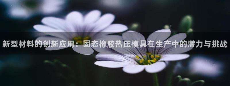 易倍申片能长期服用吗：新型材料的创新应用：固态橡胶热压模