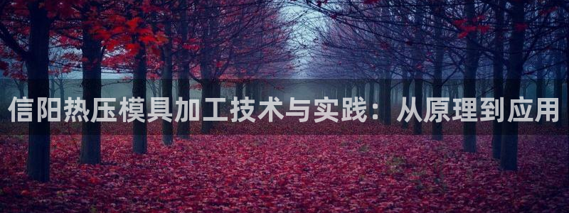 易倍单词如何下载：信阳热压模具加工技术与实践：从原理到应