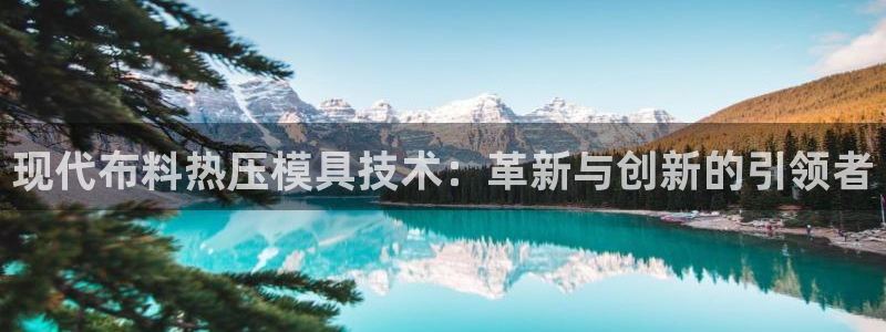 EMC易倍让身份验证：现代布料热压模具技术：革新与创新的