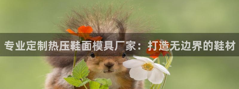 易倍单词app官网：专业定制热压鞋面模具厂家：打造无边界
