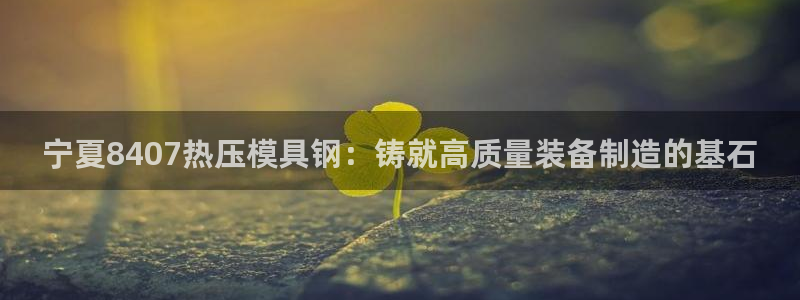 emc易倍首页：宁夏8407热压模具钢：铸就高质量装备制