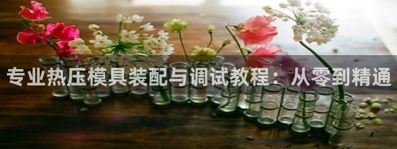 易倍申价格是多少：专业热压模具装配与调试教程：从零到精通