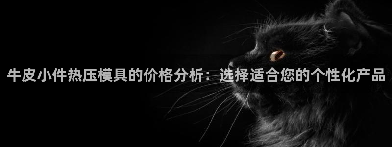 易倍单词登录平台：牛皮小件热压模具的价格分析：选择适合您