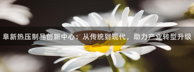 易倍单词软件：阜新热压制品创新中心：从传统到现代，助力产