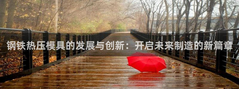 易倍纤谷物粉效果好吗：钢铁热压模具的发展与创新：开启未来