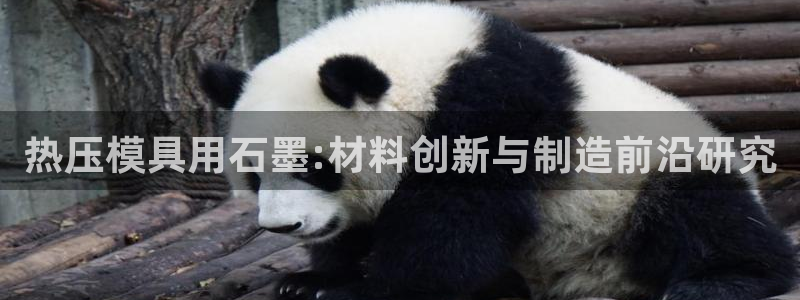 易倍思教育：热压模具用石墨:材料创新与制造前沿研究
