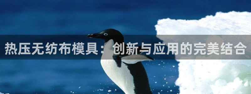 易倍申上市时间：热压无纺布模具：创新与应用的完美结合