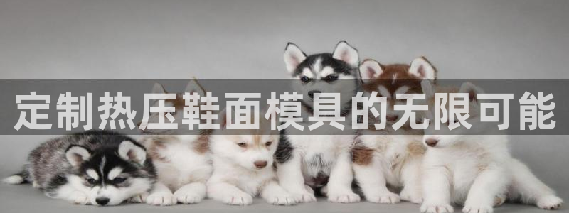 emc易倍穆里尼奥：定制热压鞋面模具的无限可能