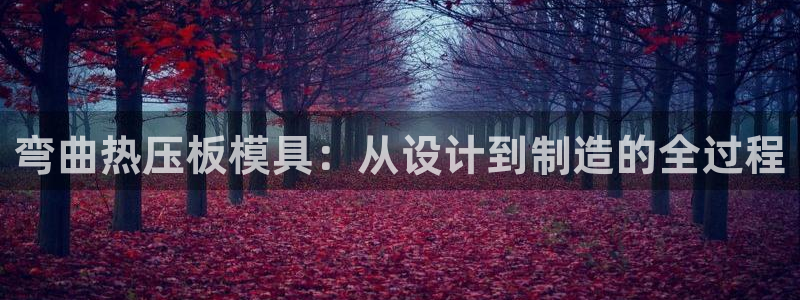 易倍纤瘦身三部曲的价格：弯曲热压板模具：从设计到制造的全