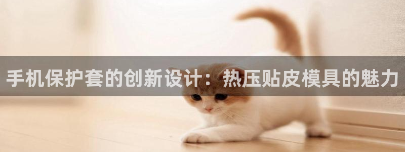 易倍申价格是多少：手机保护套的创新设计：热压贴皮模具的魅