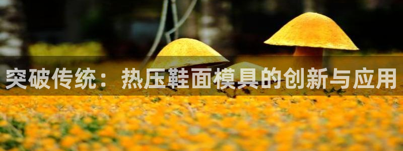易倍申价格