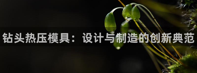易倍申有用吗：钻头热压模具：设计与制造的创新典范