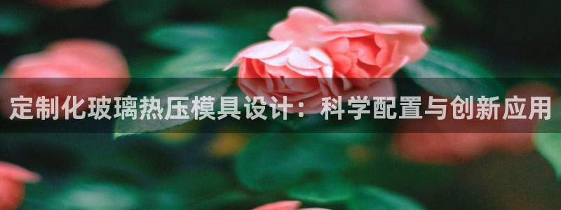 易倍申每盒价格是多少?：定制化玻璃热压模具设计：科学配置