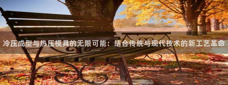 易倍申每盒价格是多少?：冷压成型与热压模具的无限可能：结