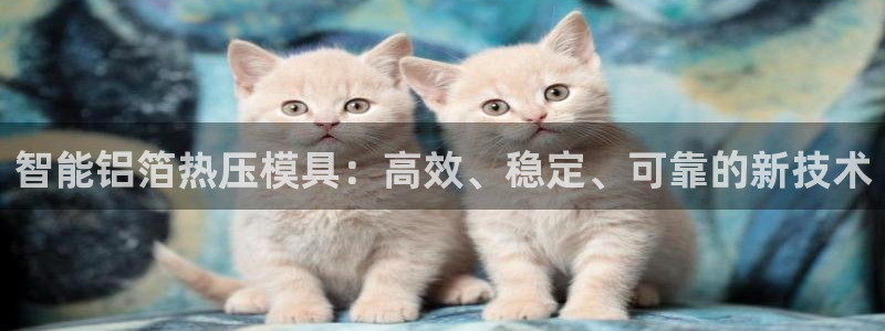 emc倍频干扰怎么解决：智能铝箔热压模具：高效、稳定、可