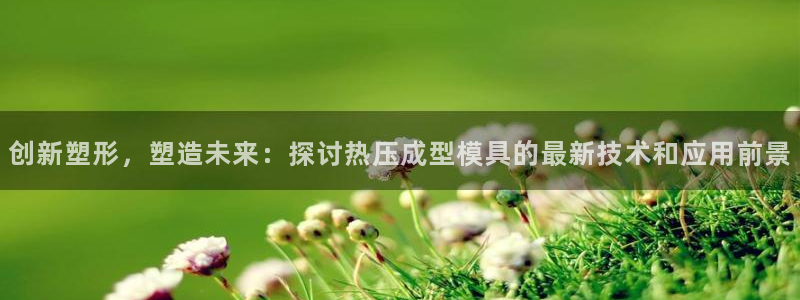易倍网络技术有限公司怎么样：创新塑形，塑造未来：探讨热压